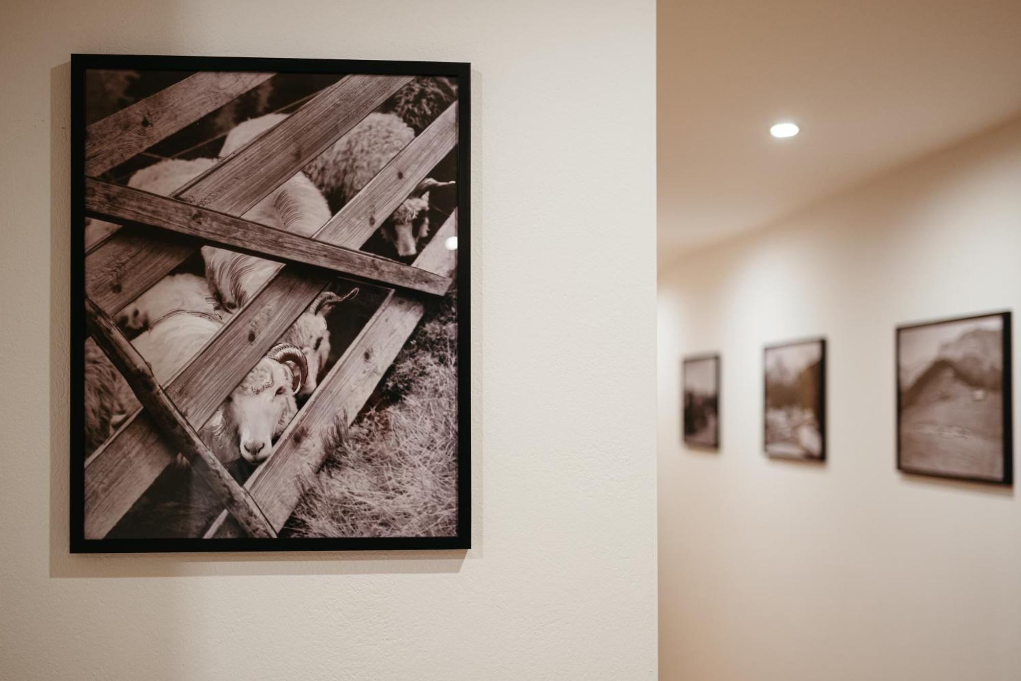 Novopolka Apartamenty Rzepiska Zimmer foto